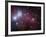 NGC 2264, the Cone Nebula Region-Stocktrek Images-Framed Photographic Print