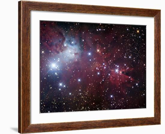 NGC 2264, the Cone Nebula Region-Stocktrek Images-Framed Photographic Print