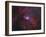 NGC 2264, the Cone Nebula Region-Stocktrek Images-Framed Photographic Print