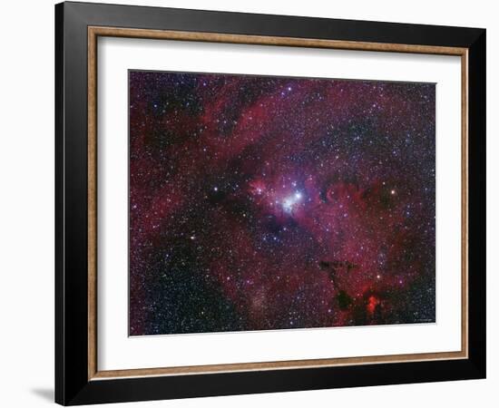 NGC 2264, the Cone Nebula Region-Stocktrek Images-Framed Photographic Print