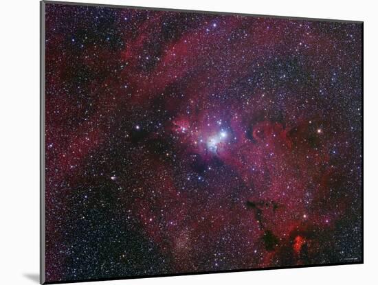 NGC 2264, the Cone Nebula Region-Stocktrek Images-Mounted Photographic Print