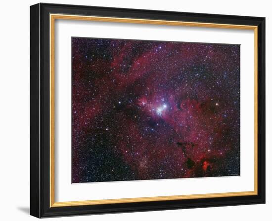 NGC 2264, the Cone Nebula Region-Stocktrek Images-Framed Photographic Print