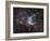 NGC 2359, Thor's Helmet in Canis Major-Stocktrek Images-Framed Premium Photographic Print