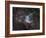 NGC 2359, Thor's Helmet in Canis Major-Stocktrek Images-Framed Photographic Print