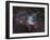 NGC 2359, Thor's Helmet in Canis Major-Stocktrek Images-Framed Photographic Print