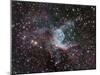 NGC 2359, Thor's Helmet in Canis Major-Stocktrek Images-Mounted Photographic Print