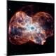 Premium Photographic Print
