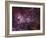 NGC 3372, the Eta Carinae Nebula-Stocktrek Images-Framed Photographic Print