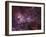 NGC 3372, the Eta Carinae Nebula-Stocktrek Images-Framed Photographic Print