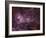 NGC 3372, the Eta Carinae Nebula-Stocktrek Images-Framed Photographic Print