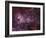 NGC 3372, the Eta Carinae Nebula-Stocktrek Images-Framed Photographic Print