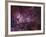 NGC 3372, the Eta Carinae Nebula-Stocktrek Images-Framed Photographic Print