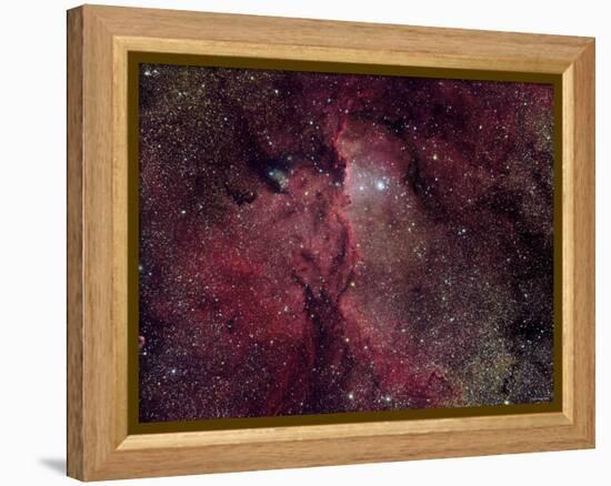 NGC 6188 is an Emission Nebula in Ara-Stocktrek Images-Framed Premier Image Canvas