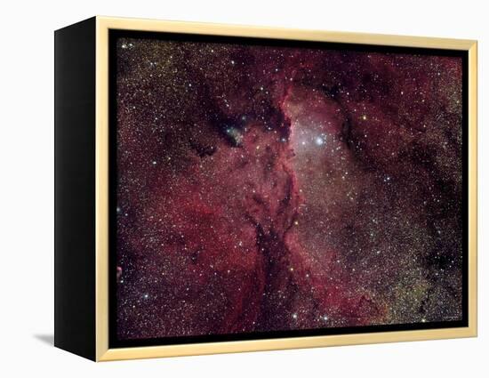 NGC 6188 is an Emission Nebula in Ara-Stocktrek Images-Framed Premier Image Canvas