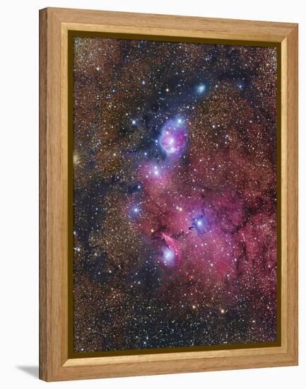 Ngc 6559 Emission and Reflection Nebulosity in Sagittarius-null-Framed Premier Image Canvas