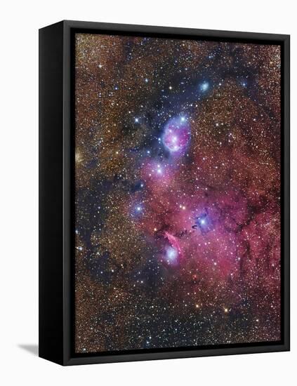 Ngc 6559 Emission and Reflection Nebulosity in Sagittarius-null-Framed Premier Image Canvas