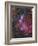 Ngc 6559 Emission and Reflection Nebulosity in Sagittarius-null-Framed Photographic Print