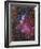 Ngc 6559 Emission and Reflection Nebulosity in Sagittarius-null-Framed Photographic Print