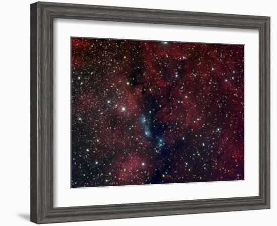 NGC 6914, Reflection Nebula in Cygnus-Stocktrek Images-Framed Photographic Print