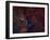 NGC 6914, Reflection Nebula in Cygnus-Stocktrek Images-Framed Photographic Print