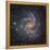 NGC 6946, a Spiral Galaxy in Cepheus-Stocktrek Images-Framed Premier Image Canvas