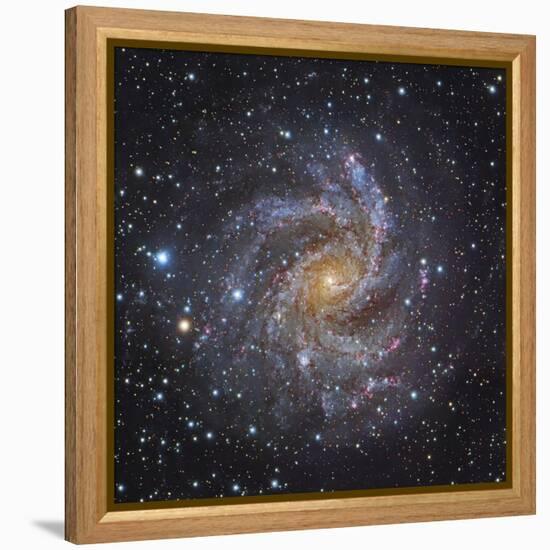 NGC 6946, a Spiral Galaxy in Cepheus-Stocktrek Images-Framed Premier Image Canvas