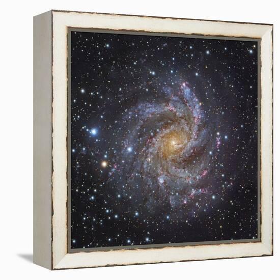 NGC 6946, a Spiral Galaxy in Cepheus-Stocktrek Images-Framed Premier Image Canvas