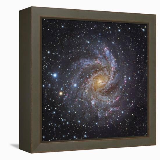 NGC 6946, a Spiral Galaxy in Cepheus-Stocktrek Images-Framed Premier Image Canvas