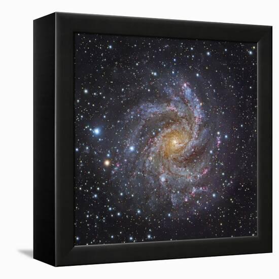 NGC 6946, a Spiral Galaxy in Cepheus-Stocktrek Images-Framed Premier Image Canvas