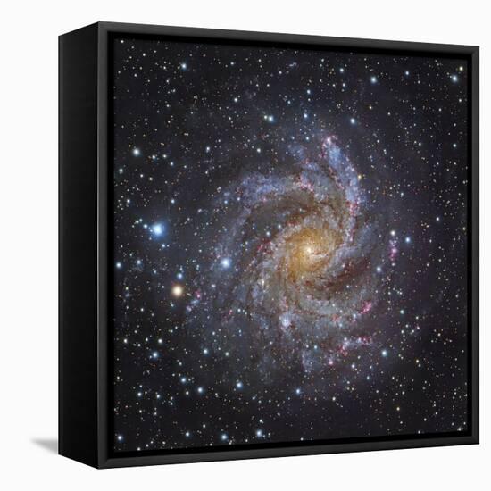 NGC 6946, a Spiral Galaxy in Cepheus-Stocktrek Images-Framed Premier Image Canvas