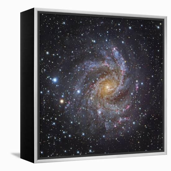 NGC 6946, a Spiral Galaxy in Cepheus-Stocktrek Images-Framed Premier Image Canvas