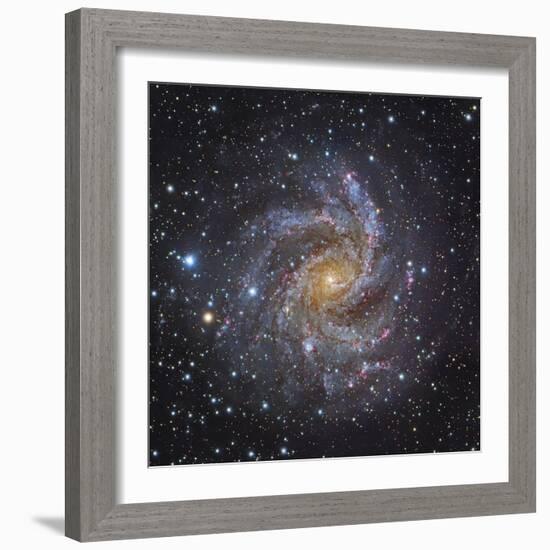 NGC 6946, a Spiral Galaxy in Cepheus-Stocktrek Images-Framed Photographic Print