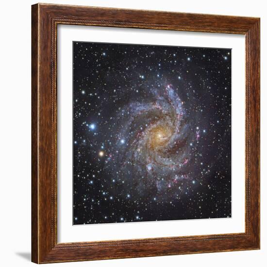 NGC 6946, a Spiral Galaxy in Cepheus-Stocktrek Images-Framed Photographic Print