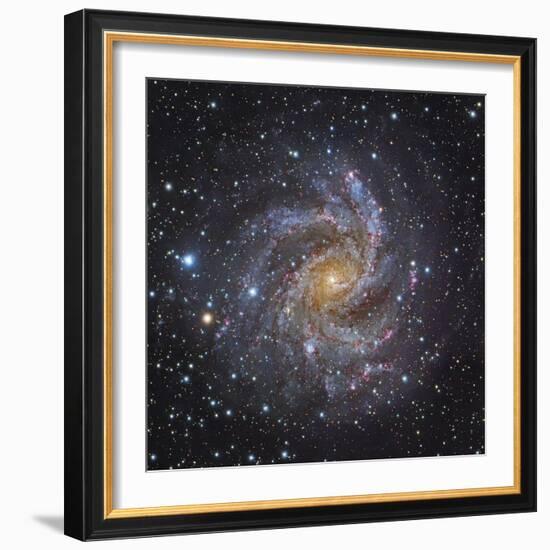 NGC 6946, a Spiral Galaxy in Cepheus-Stocktrek Images-Framed Photographic Print