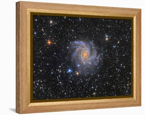 Ngc 6946, the Fireworks Galaxy-Stocktrek Images-Framed Premier Image Canvas