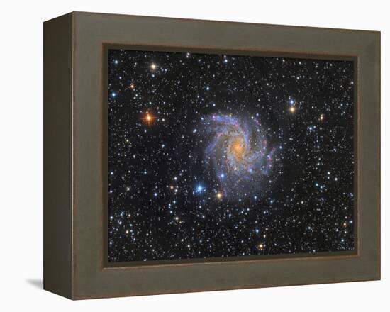 Ngc 6946, the Fireworks Galaxy-Stocktrek Images-Framed Premier Image Canvas