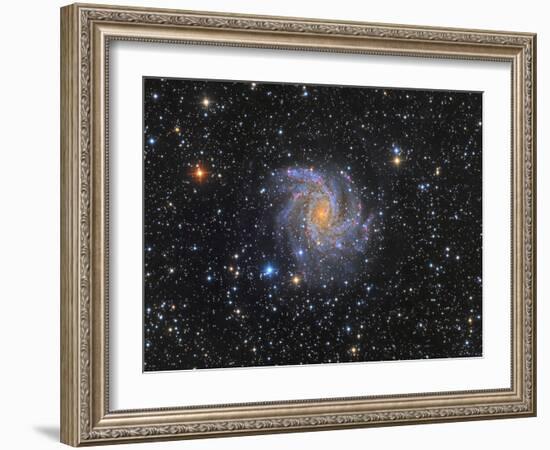 Ngc 6946, the Fireworks Galaxy-Stocktrek Images-Framed Photographic Print