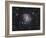 Ngc 6946, the Fireworks Galaxy-Stocktrek Images-Framed Photographic Print