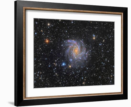 Ngc 6946, the Fireworks Galaxy-Stocktrek Images-Framed Photographic Print