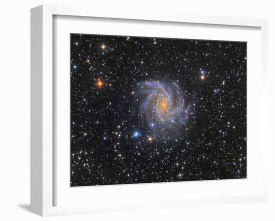 Ngc 6946, the Fireworks Galaxy-Stocktrek Images-Framed Photographic Print