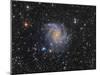 Ngc 6946, the Fireworks Galaxy-Stocktrek Images-Mounted Photographic Print