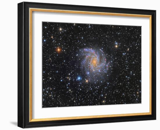 Ngc 6946, the Fireworks Galaxy-Stocktrek Images-Framed Photographic Print