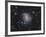 Ngc 6946, the Fireworks Galaxy-Stocktrek Images-Framed Photographic Print