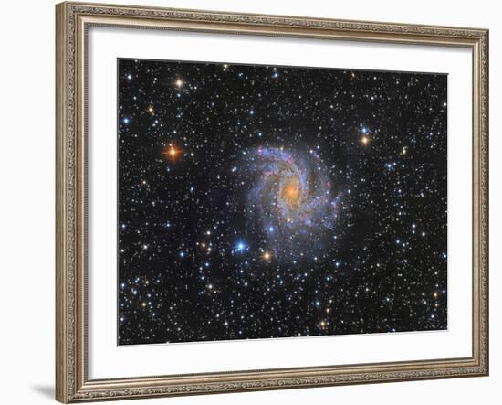 Ngc 6946, the Fireworks Galaxy-Stocktrek Images-Framed Photographic Print