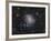 Ngc 6946, the Fireworks Galaxy-Stocktrek Images-Framed Photographic Print