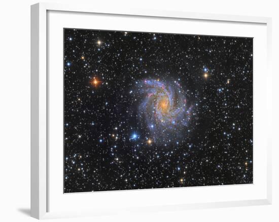 Ngc 6946, the Fireworks Galaxy-Stocktrek Images-Framed Photographic Print