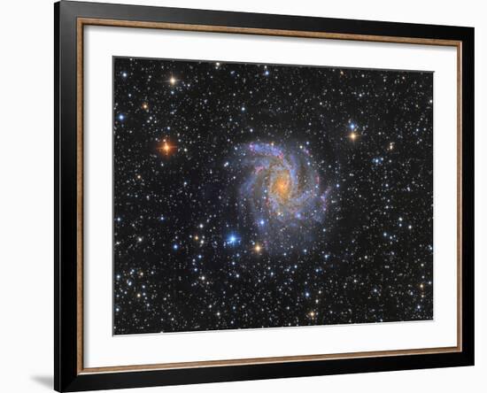 Ngc 6946, the Fireworks Galaxy-Stocktrek Images-Framed Photographic Print