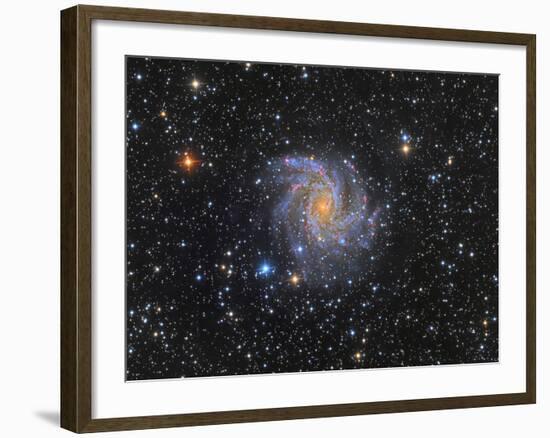 Ngc 6946, the Fireworks Galaxy-Stocktrek Images-Framed Photographic Print