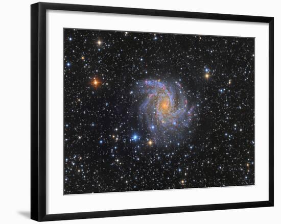 Ngc 6946, the Fireworks Galaxy-Stocktrek Images-Framed Photographic Print