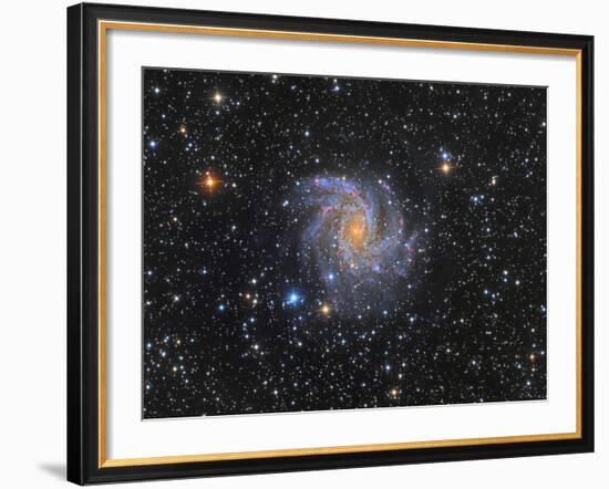 Ngc 6946, the Fireworks Galaxy-Stocktrek Images-Framed Photographic Print